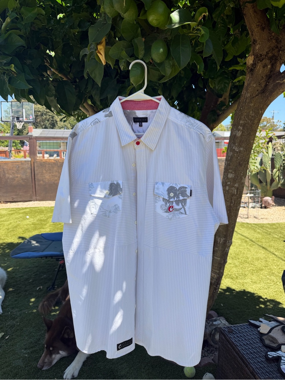Cookies Men's White Short-Sleeve Button-Down w Subtle Stripe and Pocket Detail